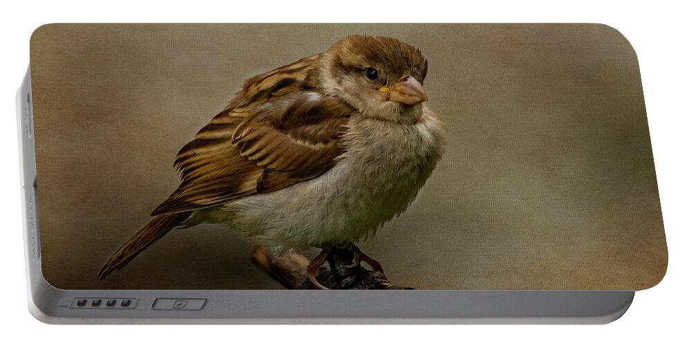 Bird Portable Battery Charger featuring the photograph The Fledgeling by Cathy Kovarik