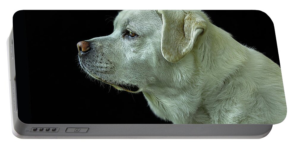 Dog Portable Battery Charger featuring the photograph The Good Boy-Labrador Retriever Portrait by Diane Diederich