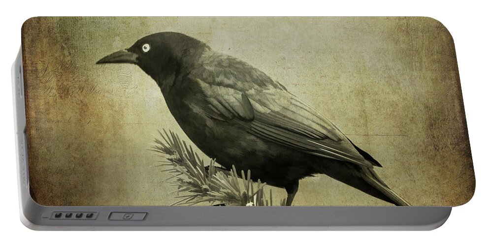 Bird Portable Battery Charger featuring the photograph The Grackle by Cathy Kovarik