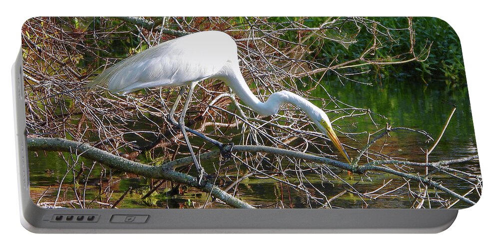 Great Egret Portable Battery Charger featuring the photograph The Hunter by Scott Cameron