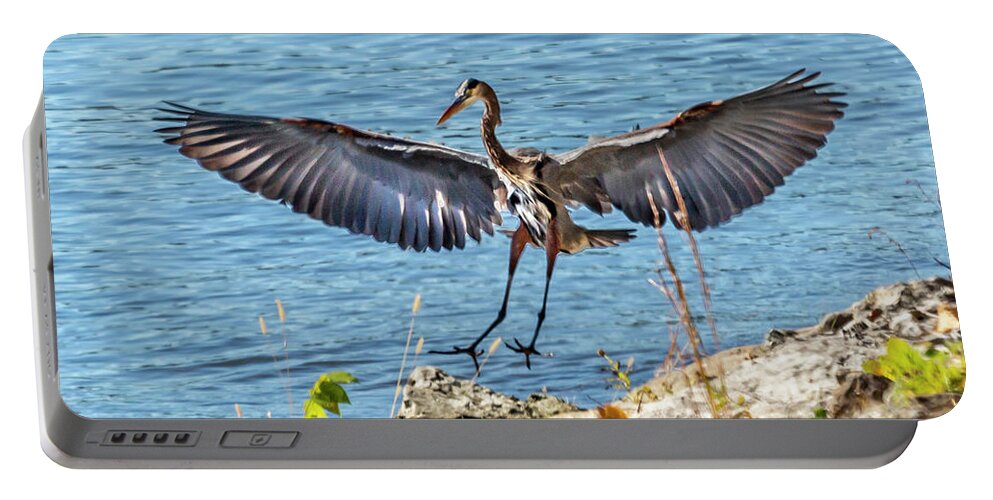 Blue Heron Portable Battery Charger featuring the photograph The Landing by David Wagenblatt