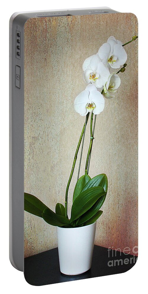 White Portable Battery Charger featuring the photograph The Orchid by Milena Ilieva