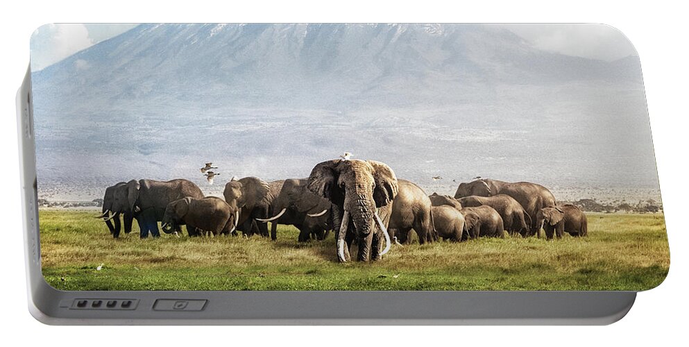 Elephant Portable Battery Charger featuring the photograph The Elephant Patriarch of Amboseli Kenya Africa by Good Focused