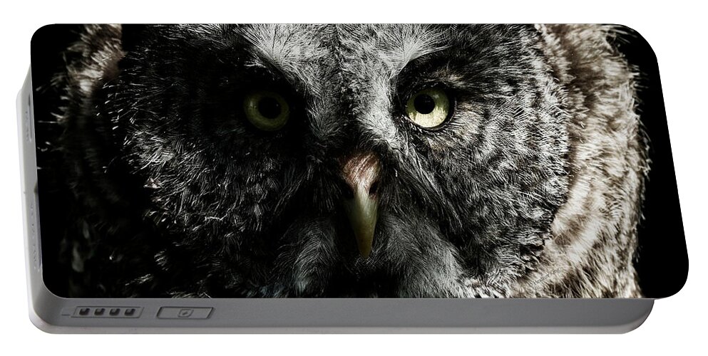 Owls Portable Battery Charger featuring the photograph The phantom of the north by Heather King