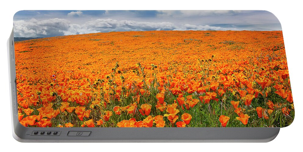 Antelope Valley Poppy Reserve Portable Battery Charger featuring the photograph The Poppy Field by Endre Balogh