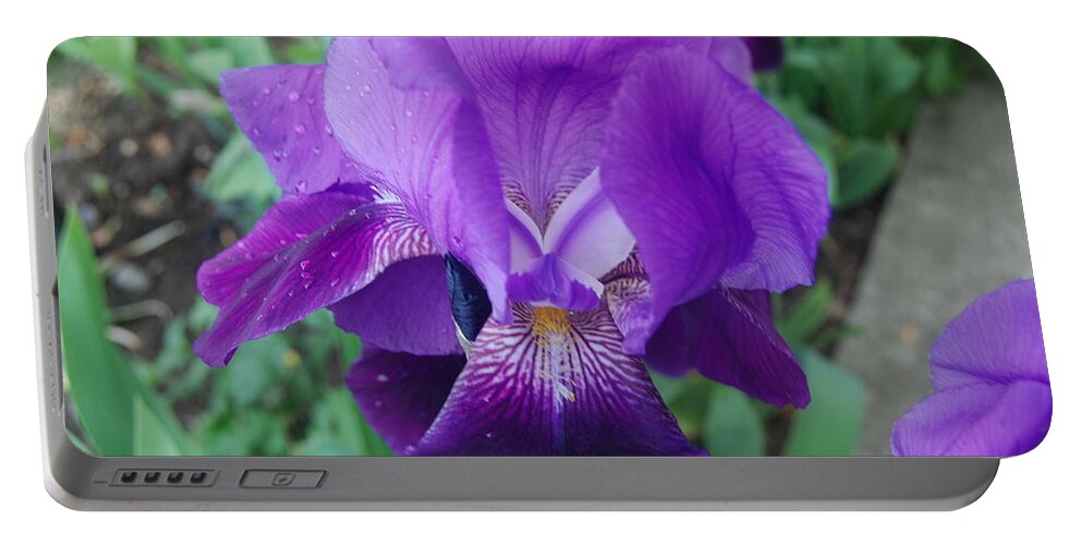 Flowers Portable Battery Charger featuring the photograph The Purple Iris Flower by Ee Photography