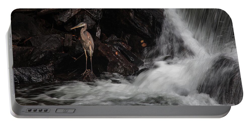 Great Blue Heron Portable Battery Charger featuring the photograph The Sentinel by Andrew Wilson