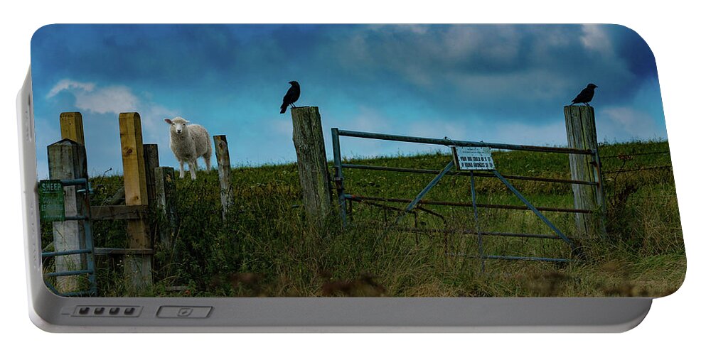 Sheep Portable Battery Charger featuring the photograph The Sheep That Hates Dogs by Chris Lord