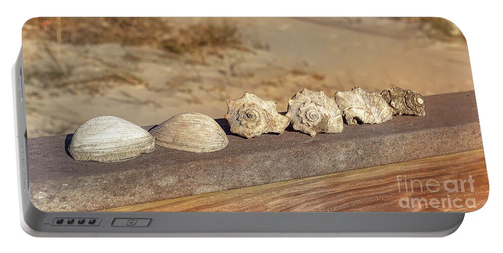 Beach Portable Battery Charger featuring the photograph The Shell Collection by Kathy Baccari