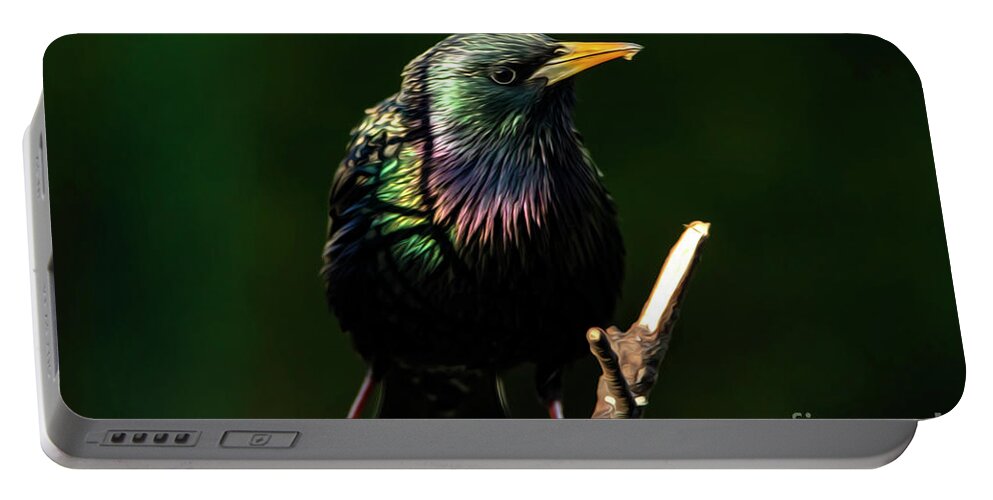 Starling Portable Battery Charger featuring the photograph The Starling Bird Painting by Sandra J's