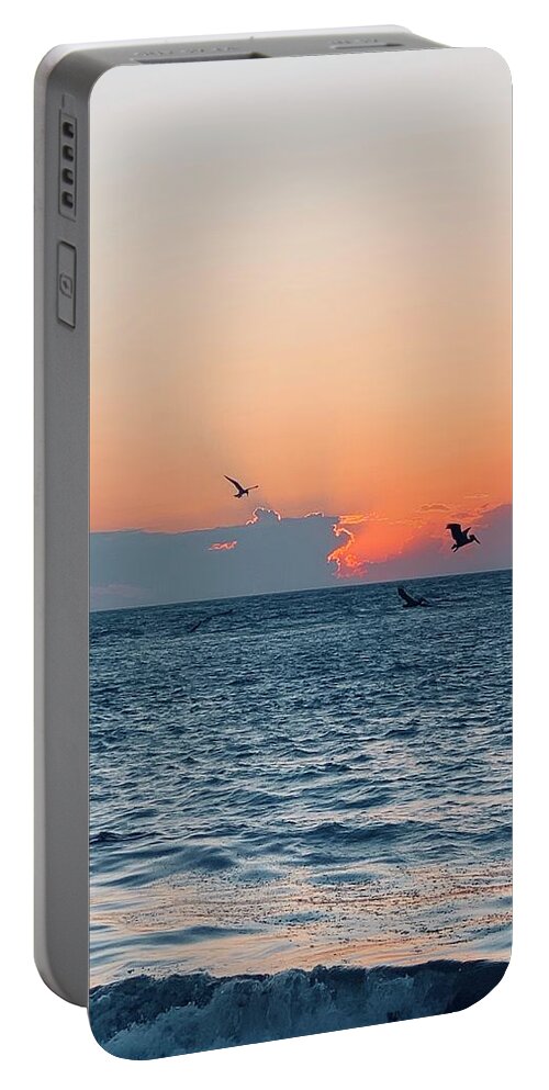 Birds Portable Battery Charger featuring the photograph Captiva Island The Sunset Seabird Feast 1 by Shelly Tschupp
