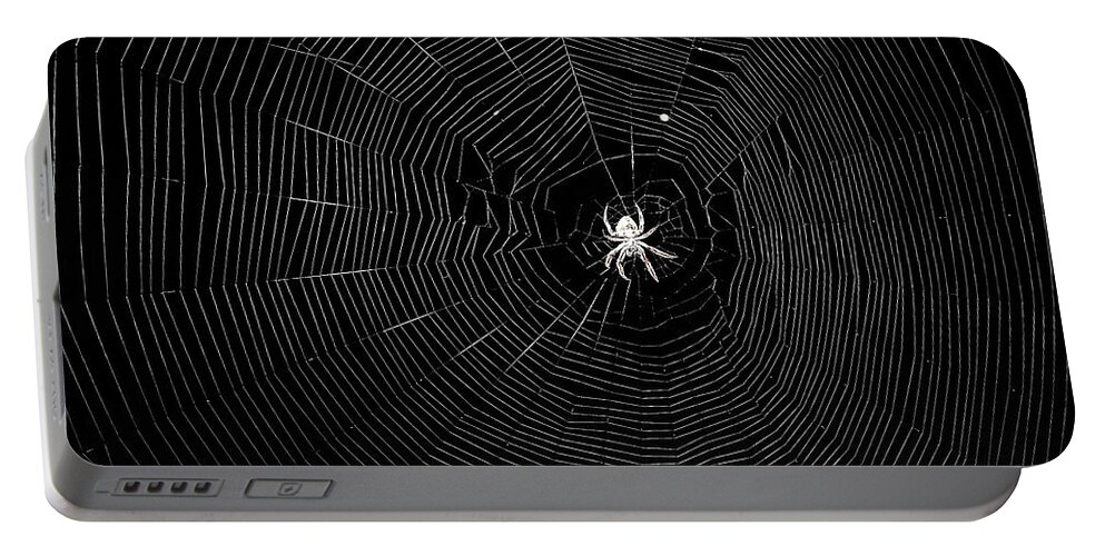 Spider Portable Battery Charger featuring the photograph The Web by Jerry Connally