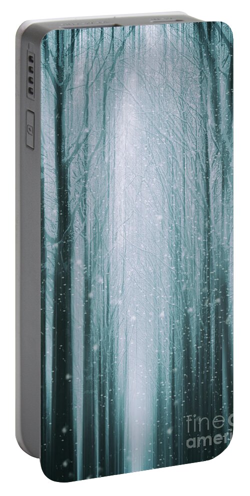 Nature Portable Battery Charger featuring the photograph The Winter Wood by David Lichtneker