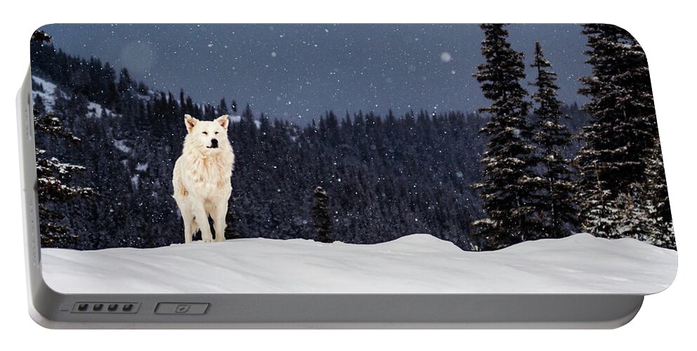 Animals Portable Battery Charger featuring the photograph The Wolf by Evgeni Dinev