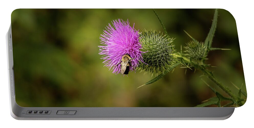 Elizabeth Dow Photography Portable Battery Charger featuring the photograph Thistle Magic by Elizabeth Dow