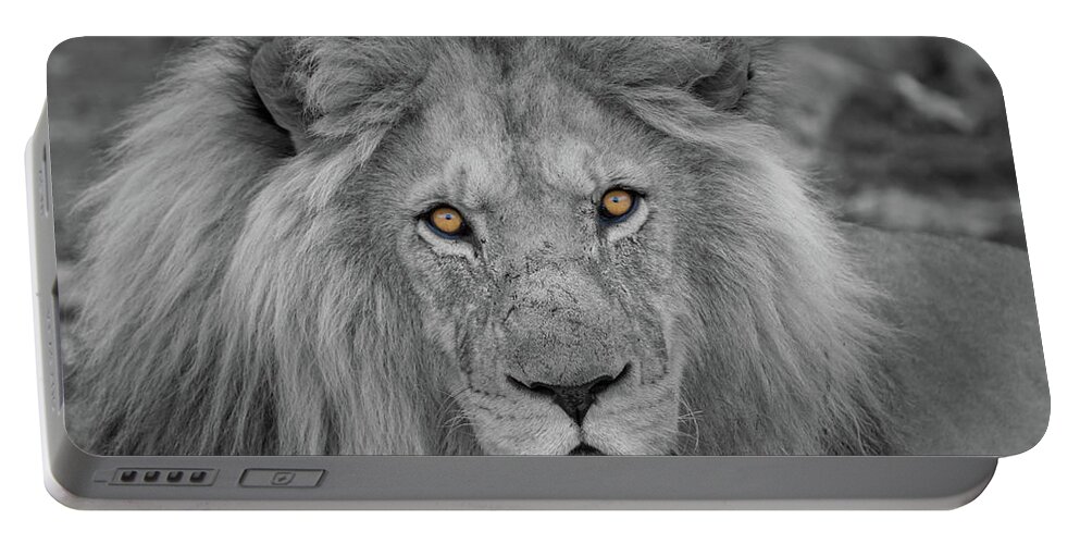 Selective Color Portable Battery Charger featuring the photograph Those Eyes by Randy Robbins