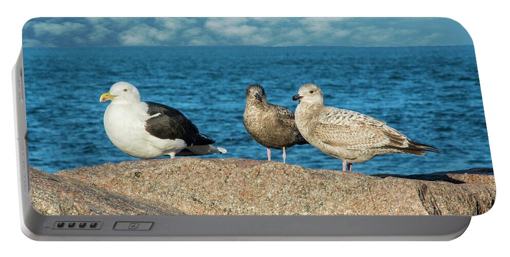 Gulls Portable Battery Charger featuring the photograph Three On The Rocks by Cathy Kovarik