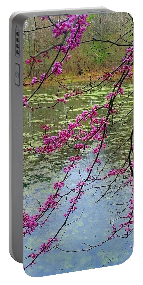 Spring Portable Battery Charger featuring the photograph Through the Blossoms by Ally White