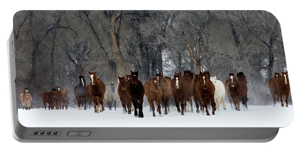 Animals Portable Battery Charger featuring the photograph Thunder by Eggers Photography