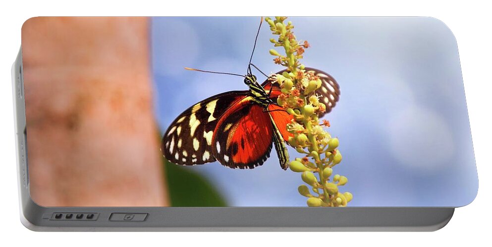Butterfly Portable Battery Charger featuring the photograph Tiger Longwing Butterfly by Jaroslav Buna