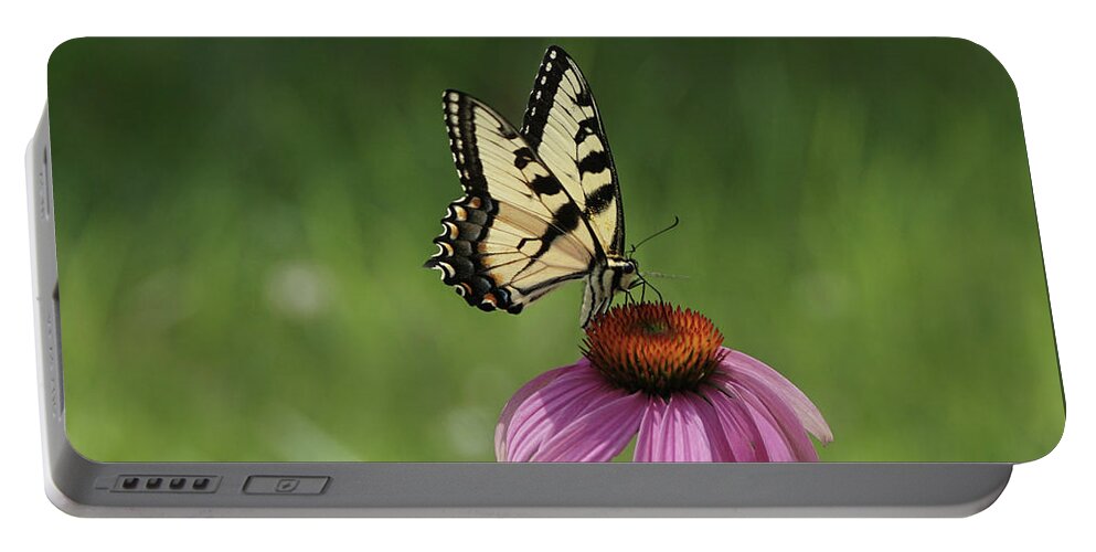 Butterfly Portable Battery Charger featuring the photograph Tiger Swallowtail Butterfly and Coneflowers by Robert E Alter Reflections of Infinity