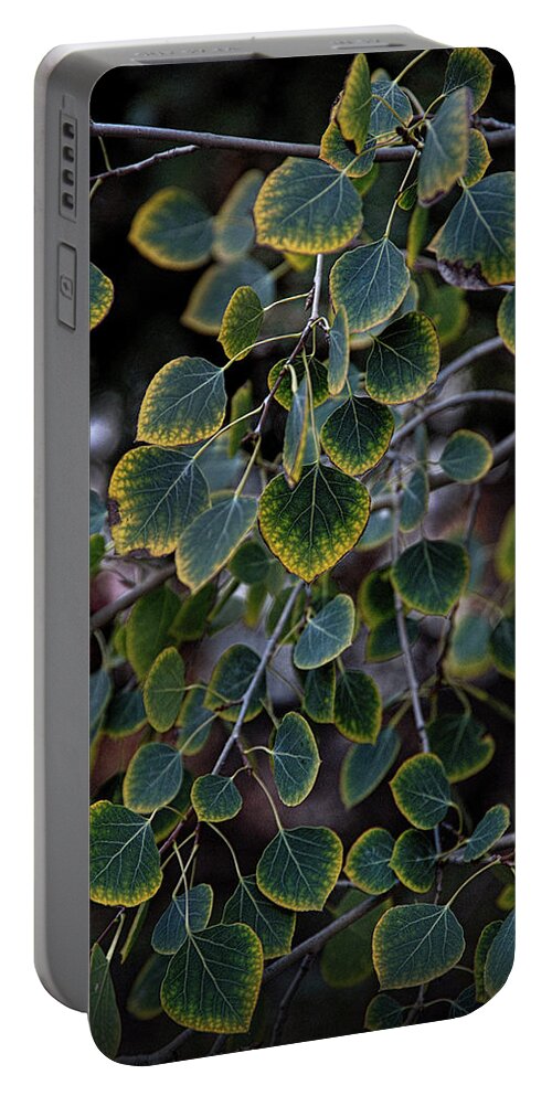Aspen Portable Battery Charger featuring the photograph Times, they are a changin' by Ron Weathers