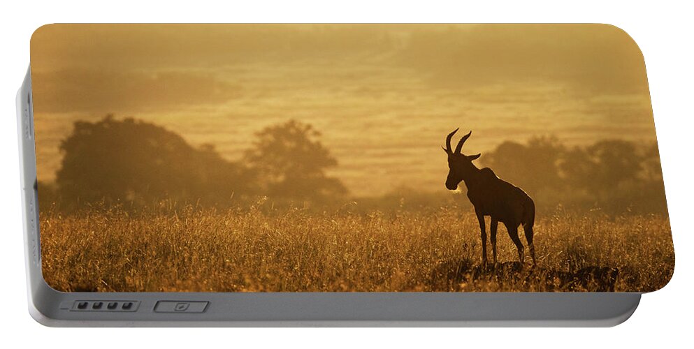 Topi Portable Battery Charger featuring the photograph Topi at the Top of The Morning by Good Focused