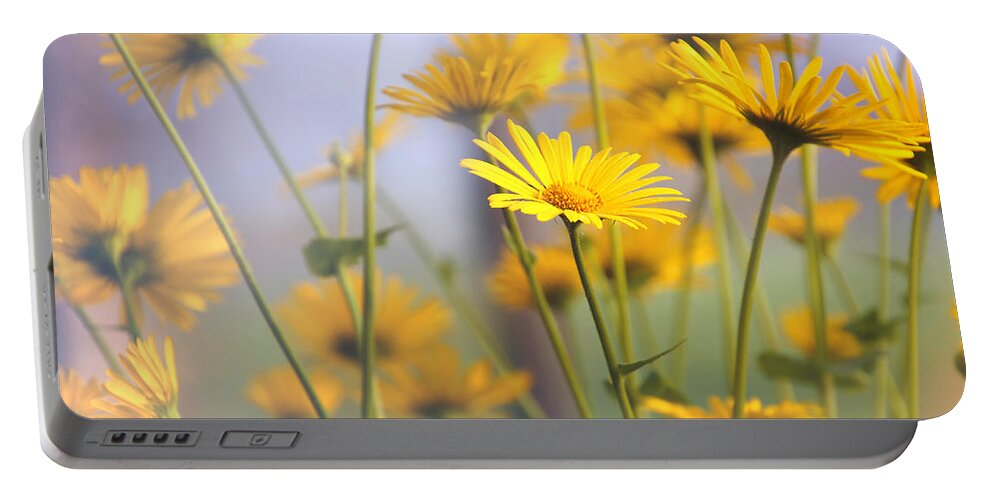 Flower Portable Battery Charger featuring the photograph Touches 5 by Jaroslav Buna