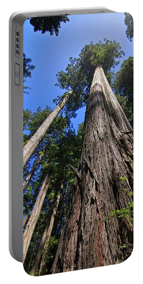 Redwood Portable Battery Charger featuring the photograph Towering Redwoods by Paul Rebmann