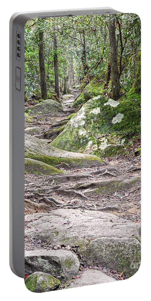 Ramsey Cascades Portable Battery Charger featuring the photograph Trail To Ramsey Cascades by Phil Perkins