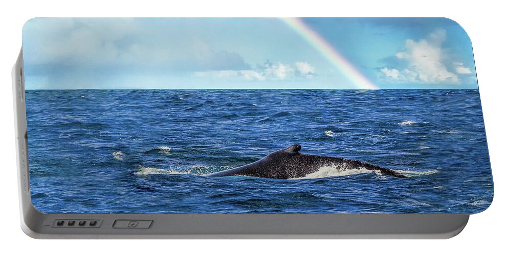 Traveling Their Path In The Sea Portable Battery Charger featuring the photograph Traveling by Louise Lindsay