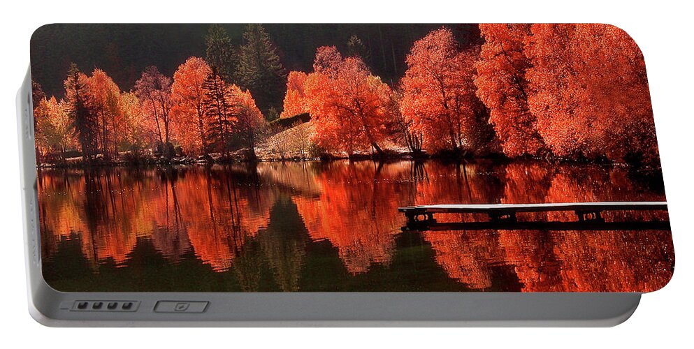 Autumn Portable Battery Charger featuring the photograph Trees Facing Trees by Philippe Sainte-Laudy
