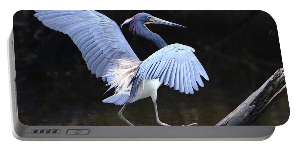 Tricolor Heron Portable Battery Charger featuring the photograph Tricolor Heron Landing by Jerry Griffin