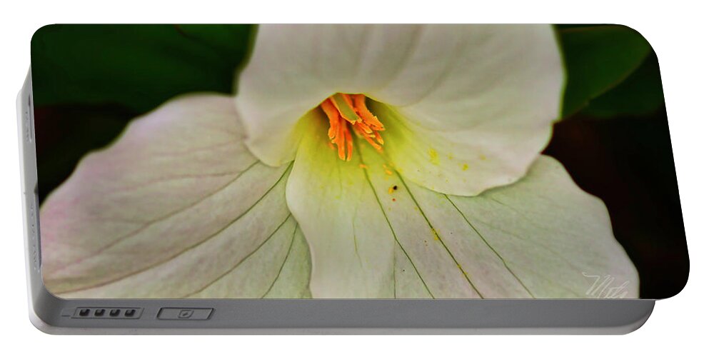 Macro Photography Portable Battery Charger featuring the photograph Trillium Closeup by Meta Gatschenberger