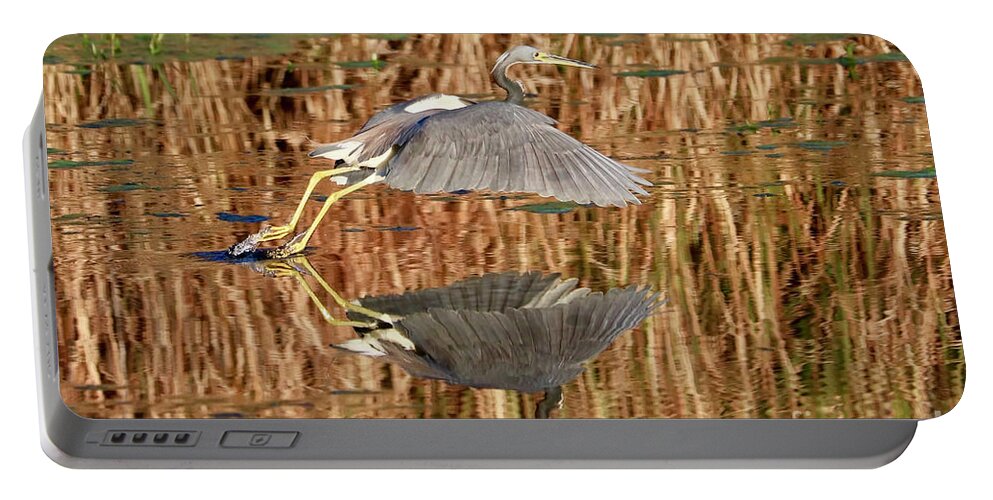 Tricolored Heron Portable Battery Charger featuring the photograph Trip the Light by Carol Groenen