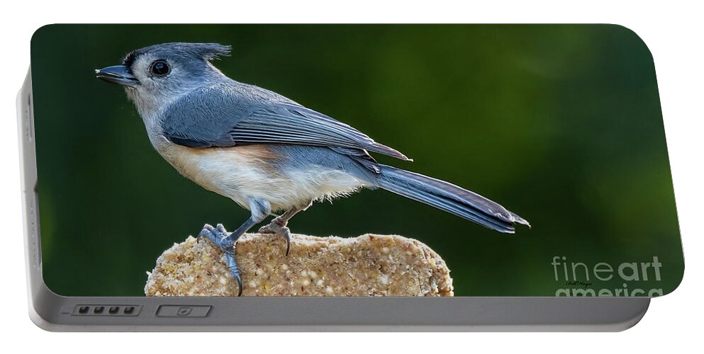 Birds Portable Battery Charger featuring the photograph Tufted Titmouse by DB Hayes