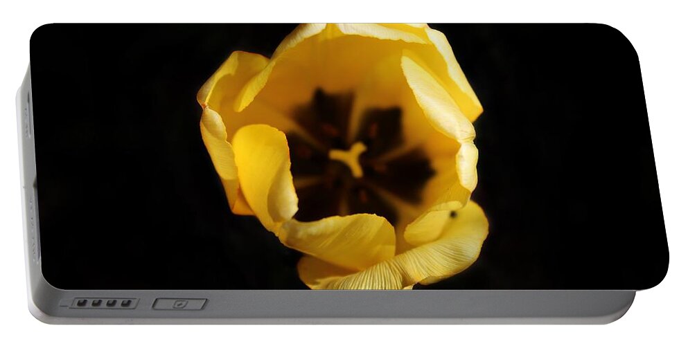 Flower Portable Battery Charger featuring the photograph Tulip by Noah Mahlon