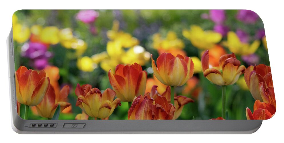 Tulips Portable Battery Charger featuring the photograph Tulips and Bokeh by Mary Ann Artz