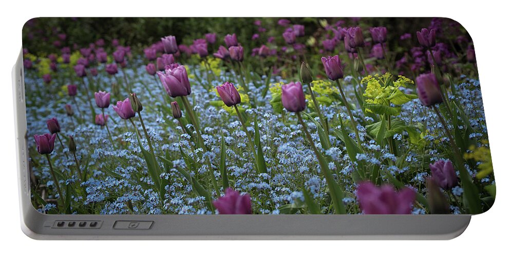 Tulips Portable Battery Charger featuring the photograph Tulips at Great Dixter Gardens by Perry Rodriguez