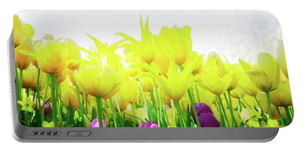 Tulips Portable Battery Charger featuring the photograph Tulips garden Flowerbed by Anastasy Yarmolovich
