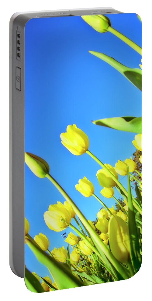 Evie Portable Battery Charger featuring the photograph Tulips Holland Michigan 838 by Evie Carrier