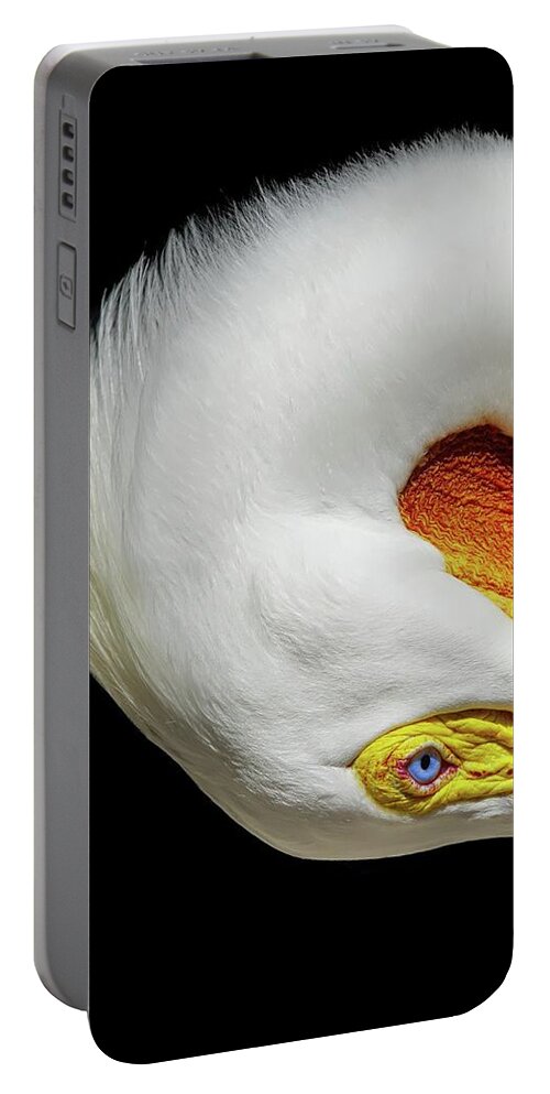 White Pelican Portable Battery Charger featuring the photograph Turn by Stoney Lawrentz