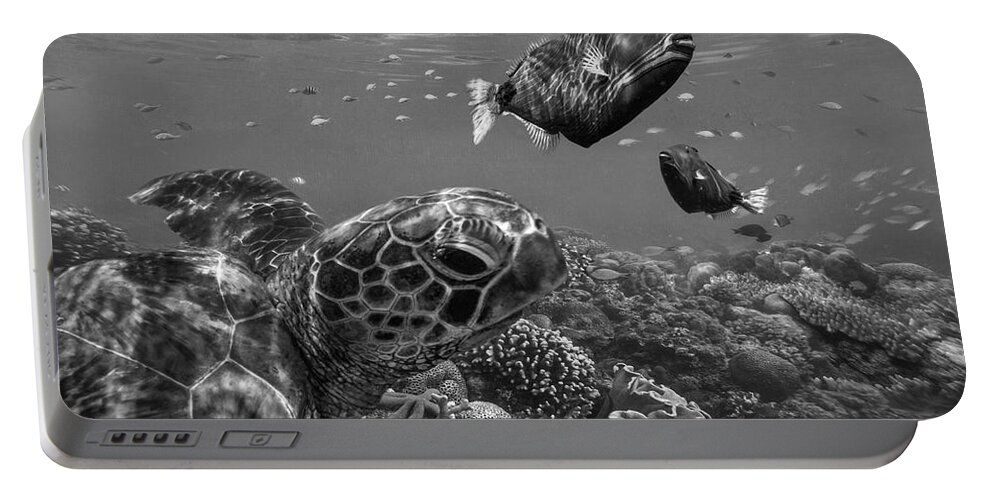 Disk1215 Portable Battery Charger featuring the photograph Turtle And Triggerfish by Tim Fitzharris