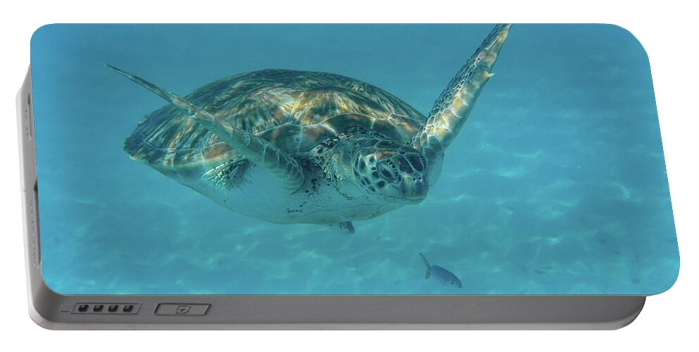 Turtle Portable Battery Charger featuring the photograph Turtle Approaching by Mark Hunter