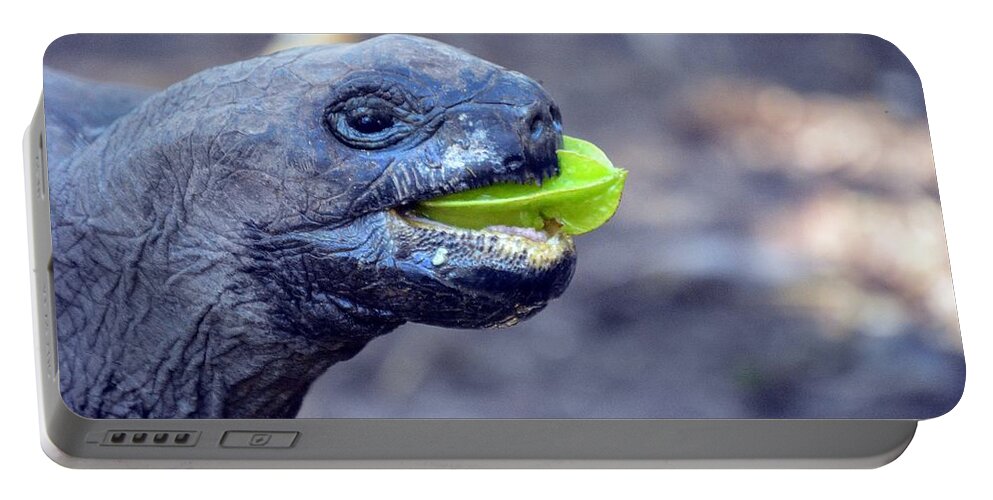 Turtle Portable Battery Charger featuring the photograph Turtle by Thomas Schroeder
