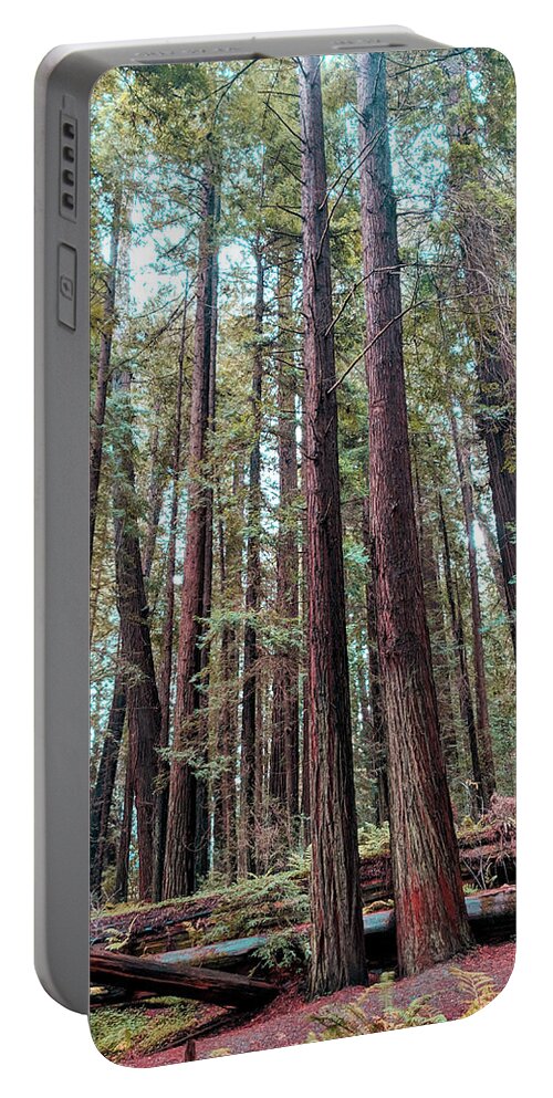 Redwoods Portable Battery Charger featuring the photograph Twin Redwoods by Jera Sky