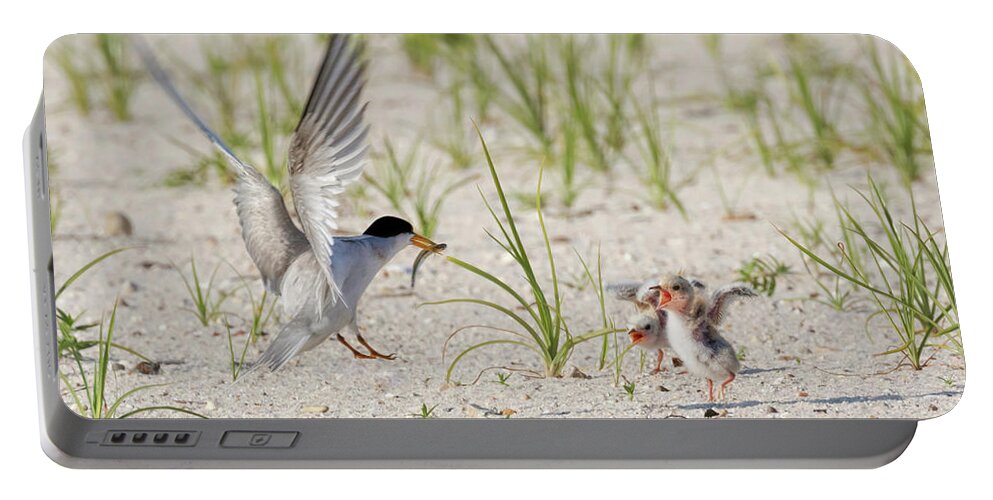 Bird Portable Battery Charger featuring the photograph Two Cheers for Breakfast by Susan Rissi Tregoning