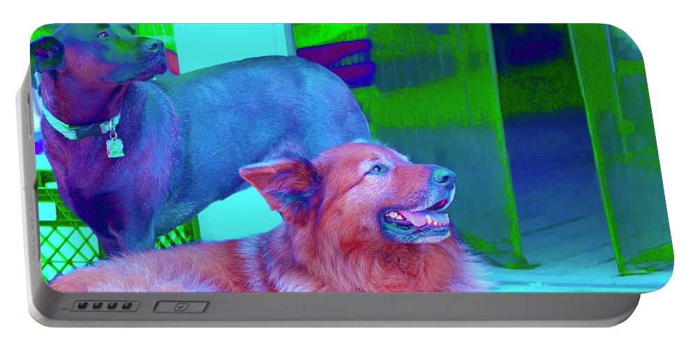 Cool Dogs Portable Battery Charger featuring the photograph Two Cool Dogs by Debra Grace Addison