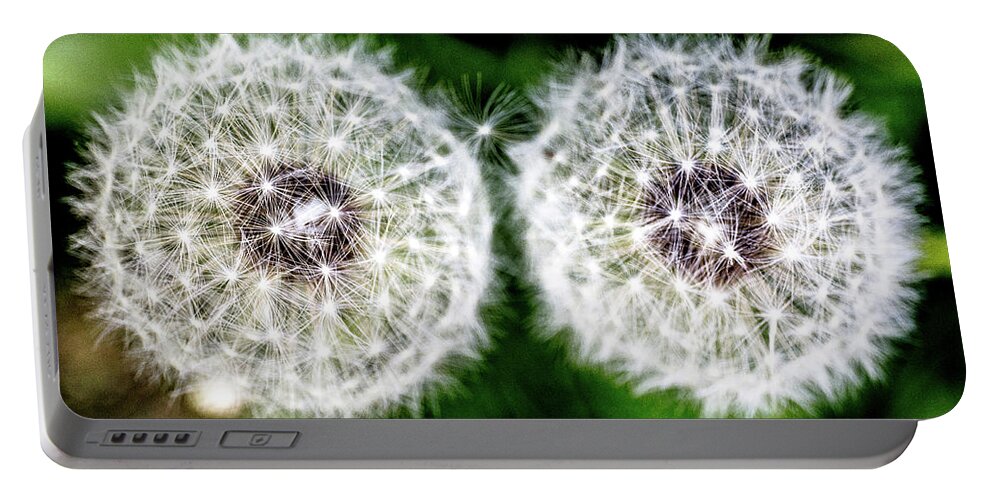 Flower Portable Battery Charger featuring the photograph Two Dandelions by Tim Kirchoff