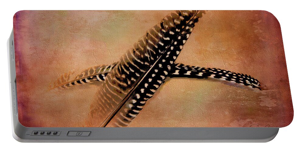 Feathers Portable Battery Charger featuring the photograph Two Feathers On Adobe by Rene Crystal
